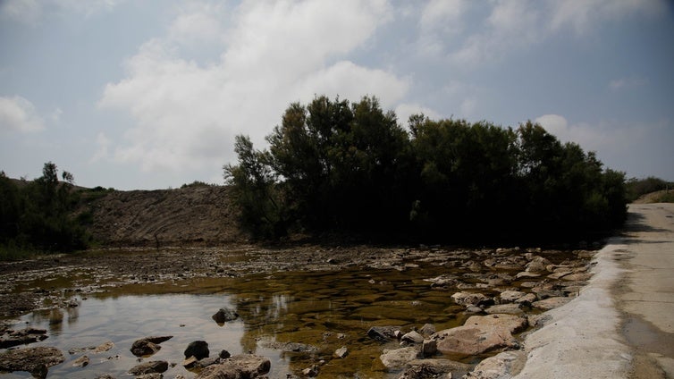 La Junta de Andalucía culmina en Almería la restauración del cauce del río Antas para proteger el campo de las riadas