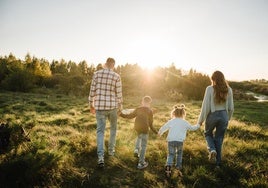 «La protección de las familias no parece estar entre las prioridades del legislador»