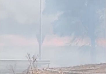 Incendio en un trigal en Alcalá de Guadaíra