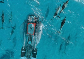 El submarino de lujo que corre como un superdeportivo