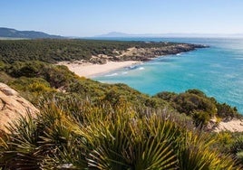 Así se llega a una de las playas más 'brutales' y asiladas de Cádiz donde apenas hay cobertura: «No se debería compartir la ubicación»