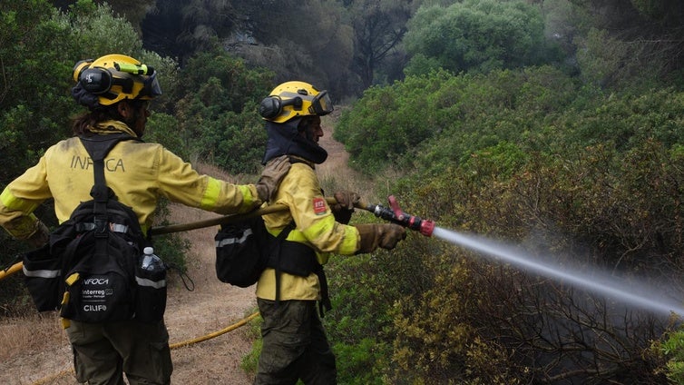 Puerto Real solicita una investigación formal por el incendio en la Dehesa de Yeguas